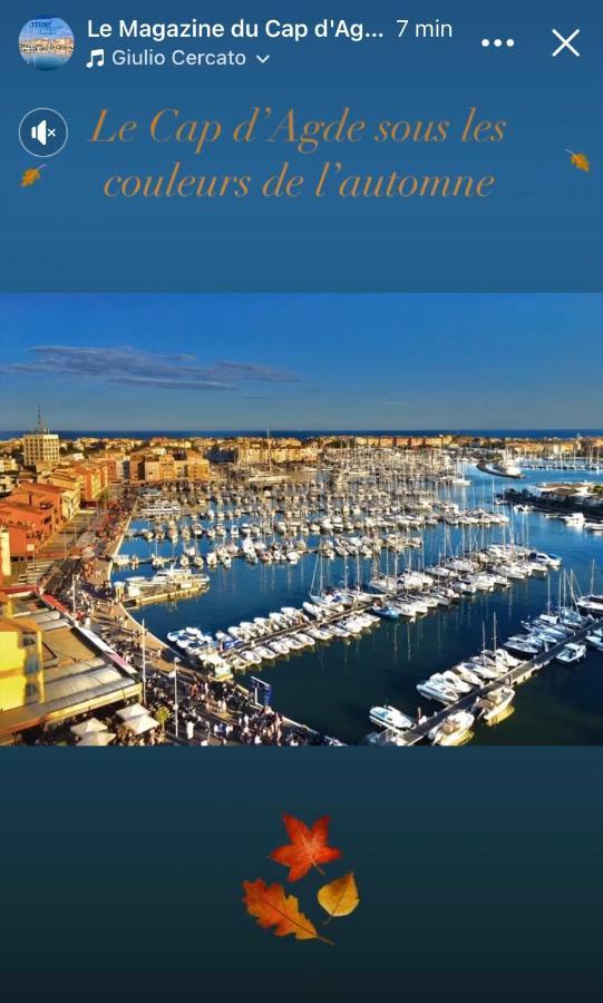 Studio La Grande Roue Vue Magnifique Agde Exteriér fotografie